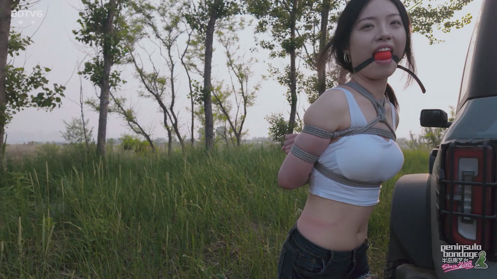 YT2826 听说宠物坐车喜欢探头.mp4_20250529_022846.237.jpg