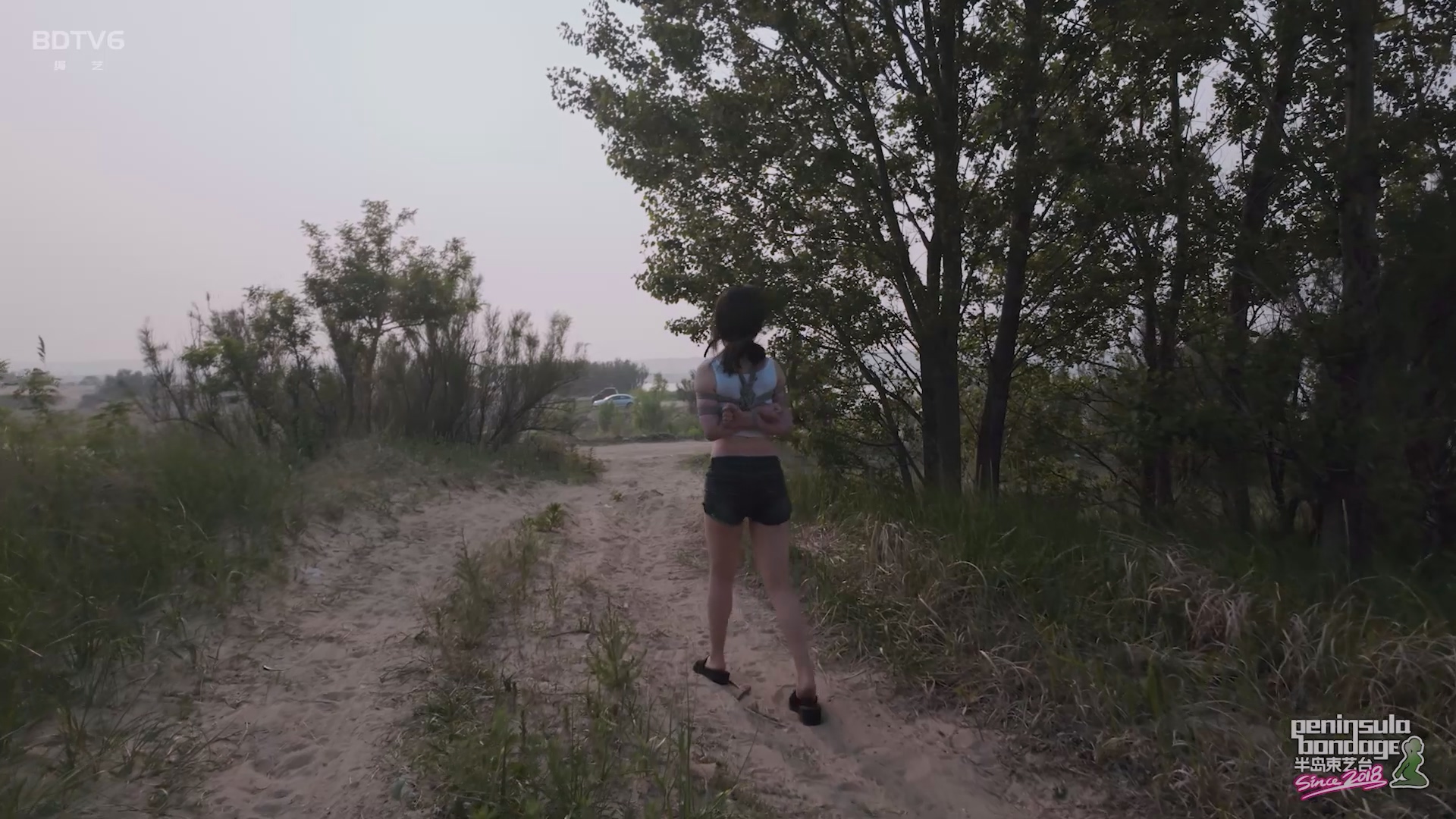 YT2826 听说宠物坐车喜欢探头.mp4_20250529_022854.187.jpg