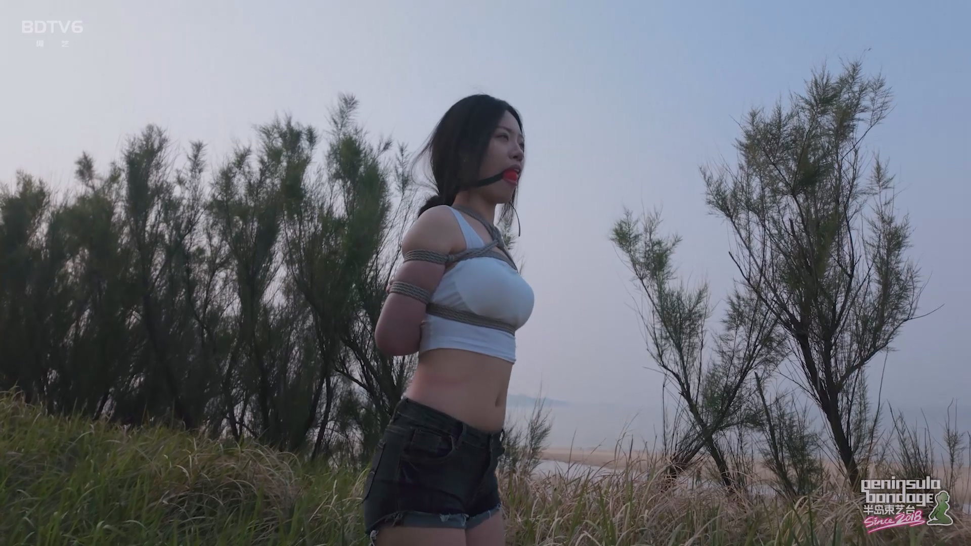 YT2826 听说宠物坐车喜欢探头.mp4_20250529_022911.197.jpg