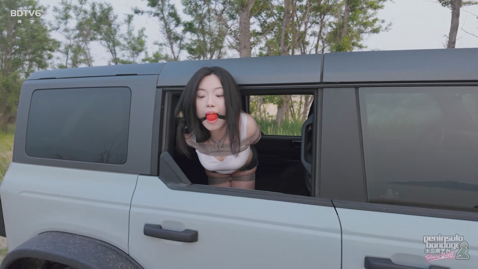 YT2826 听说宠物坐车喜欢探头.mp4_20250529_023003.457.jpg