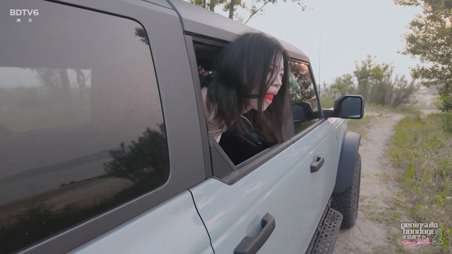 YT2826 听说宠物坐车喜欢探头.mp4_20250529_023006.938.jpg