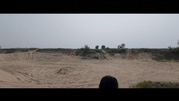 YT2829 俯冲的驷马