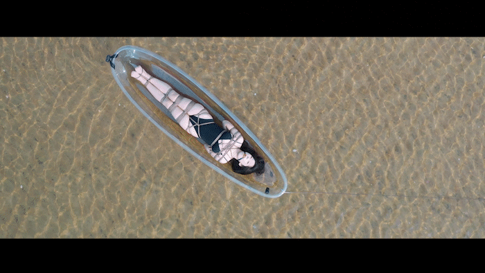 YT2827.gif YT2827.gif